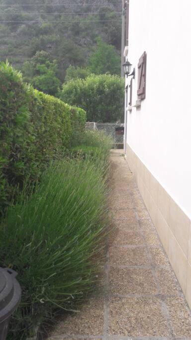 Jolie Maison Avec Jardin Βίλα Villefranche-de-Conflent Εξωτερικό φωτογραφία